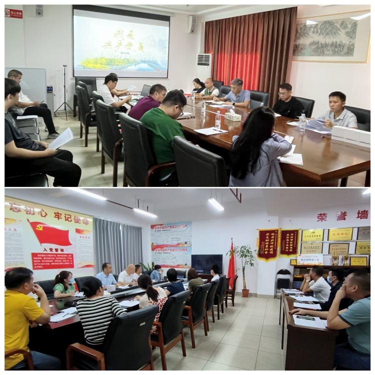 市環(huán)發(fā)公司黨支部召開黨的二十大精神專題學(xué)習(xí)會暨增補(bǔ)支委選舉大會